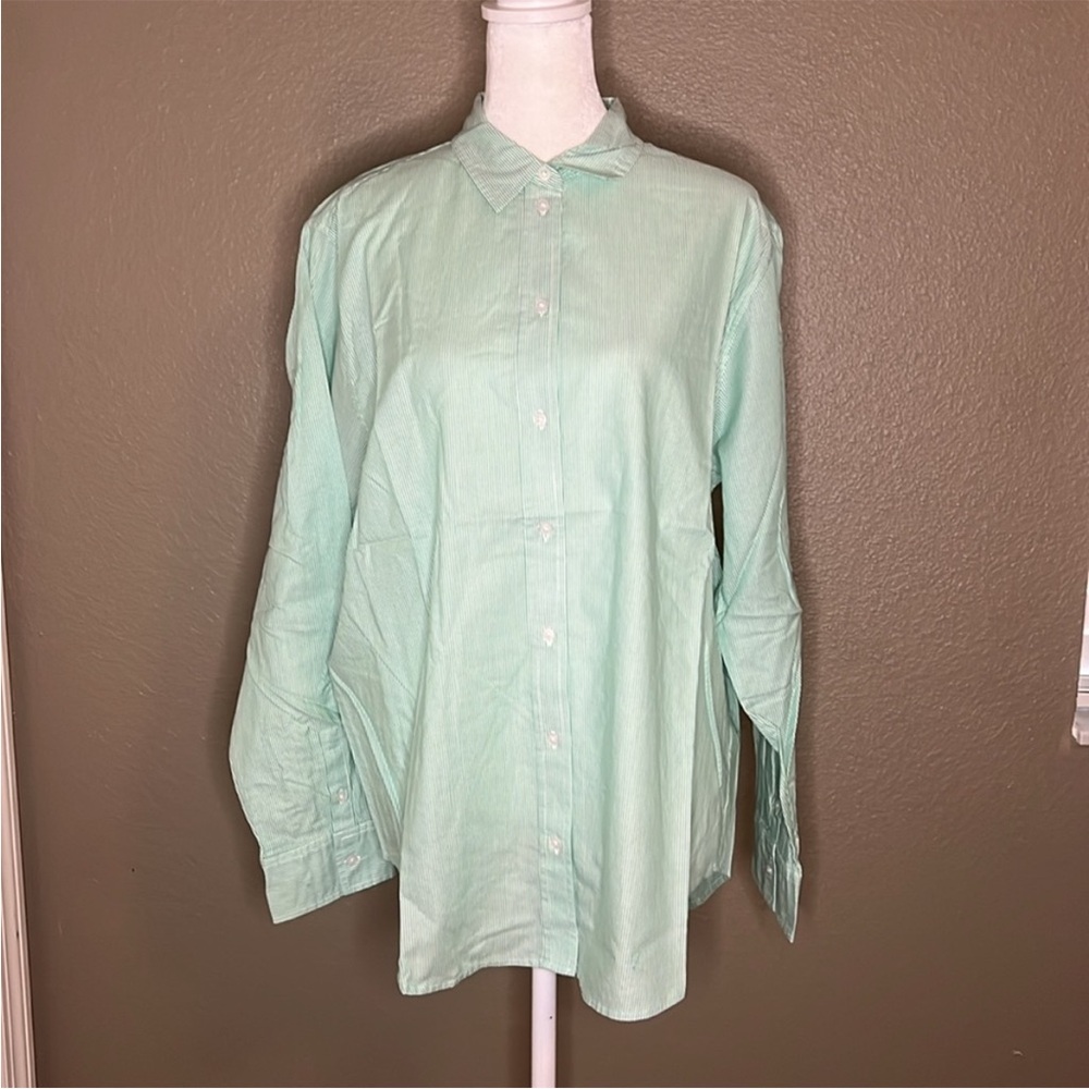Everlane The Relaxed Oxford Shirt Mint Stripe Size 12 - NWT